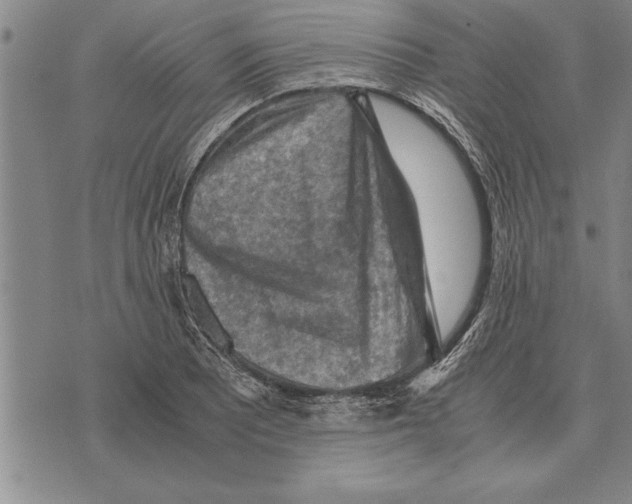 X0000075871081200610151654