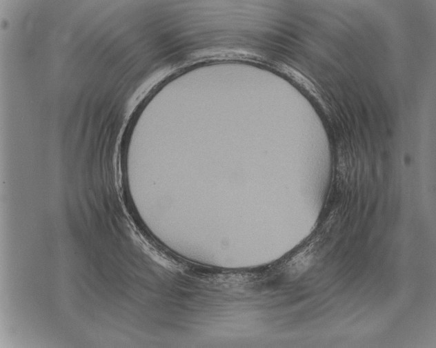 X0000075871082200610151654