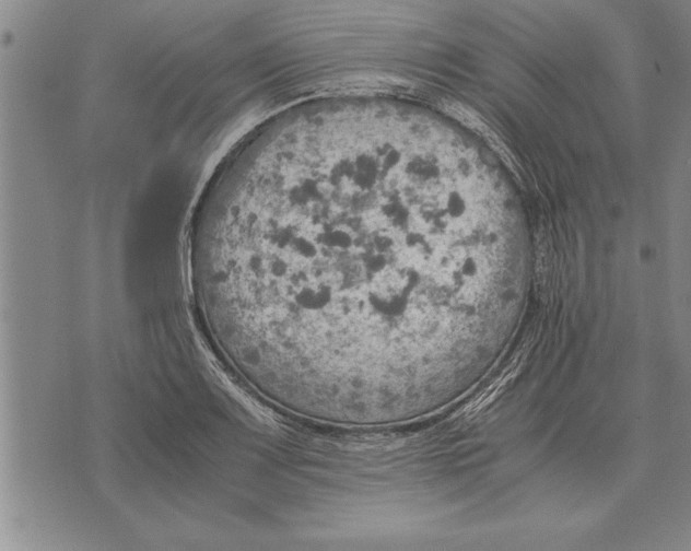 X0000075871083200610151654