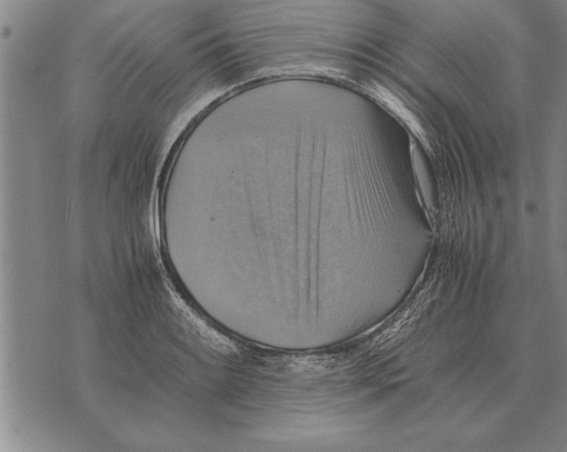 X0000075871084200610151654