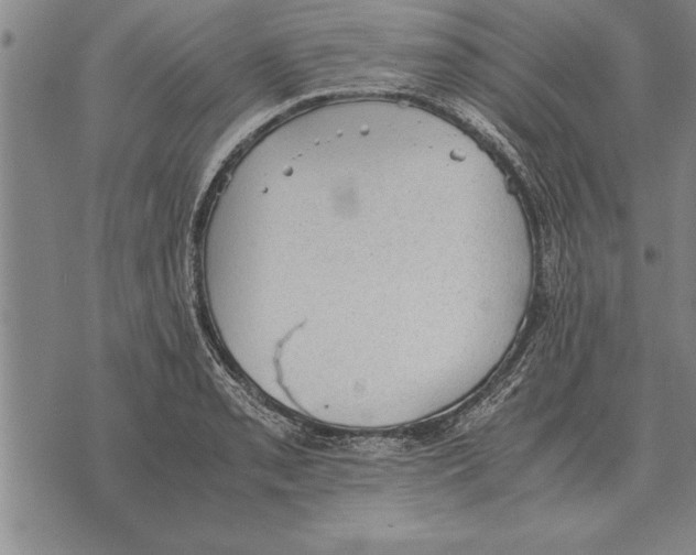 X0000075871085200610151654