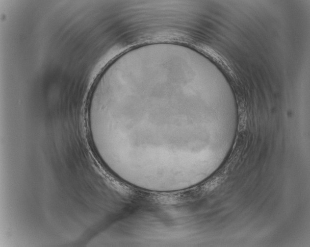 X0000075871086200610151654