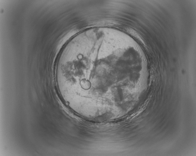 X0000075871087200610151654