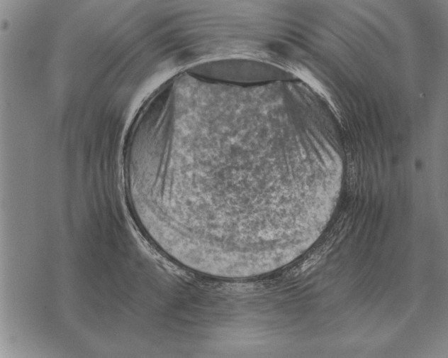 X0000075871088200610151654