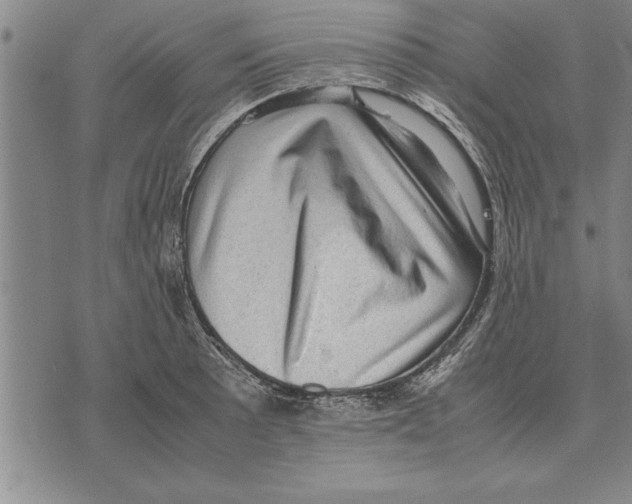 X0000075871089200610151654