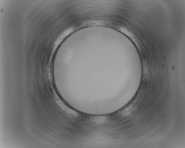 X0000075871090200610151654