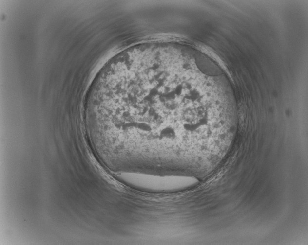 X0000075871091200610151654