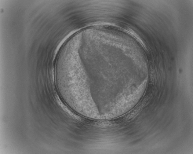 X0000075871092200610151654