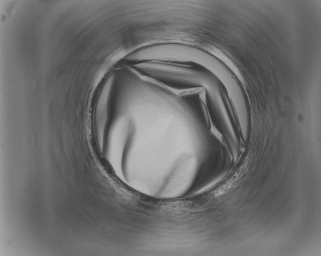 X0000075871093200610151654