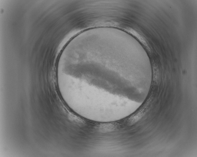 X0000075871094200610151654