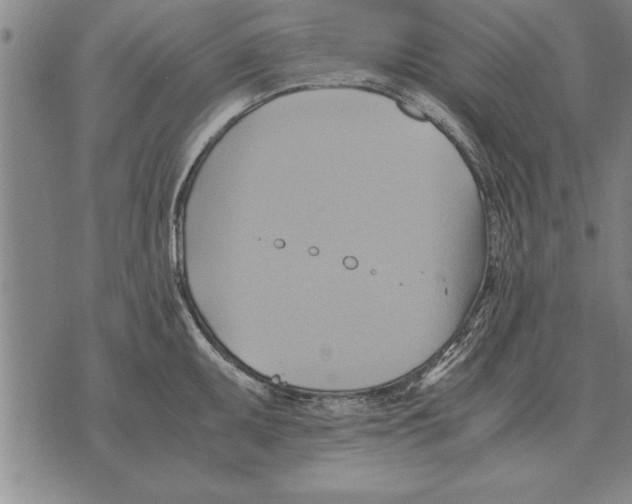 X0000075871095200610151654