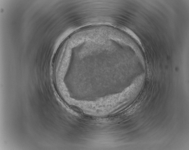 X0000075871096200610151654