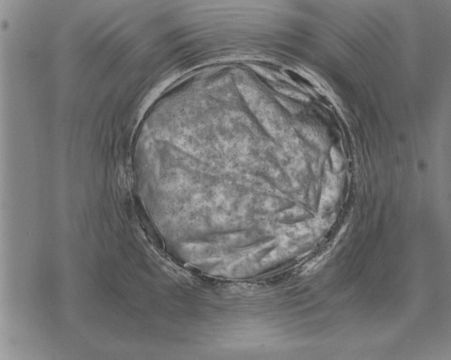 X0000075871097200610151654