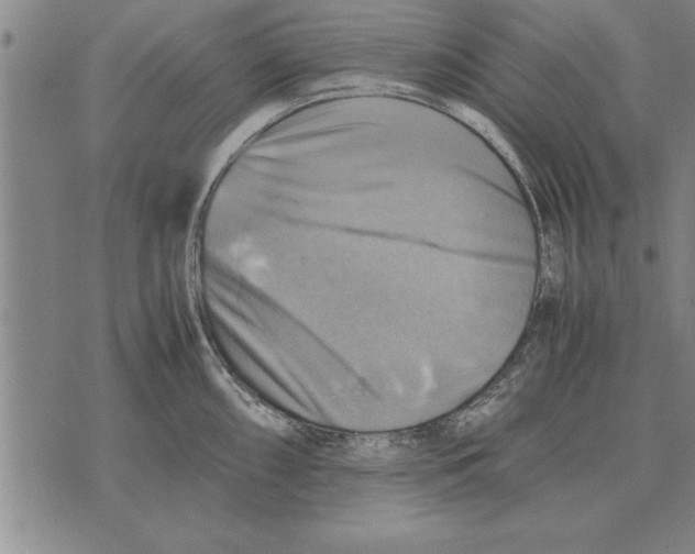 X0000075871098200610151654