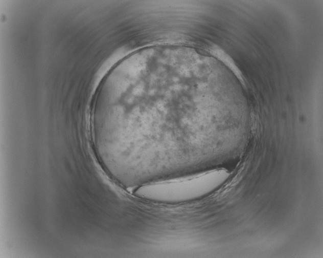 X0000075871099200610151654