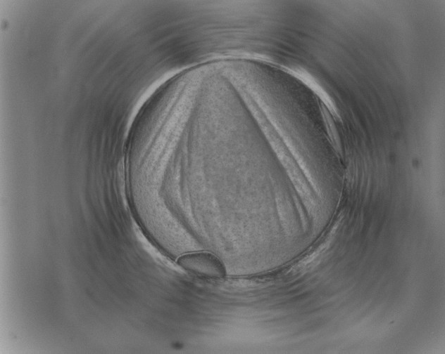 X0000075871100200610151654