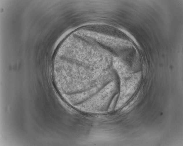 X0000075871101200610151654