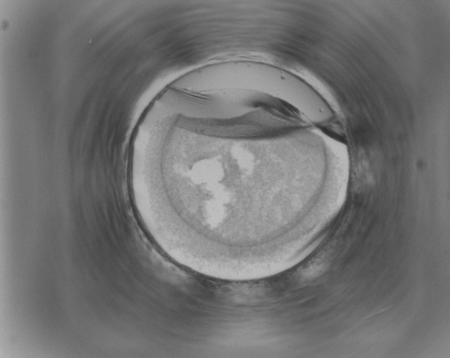 X0000075871102200610151654