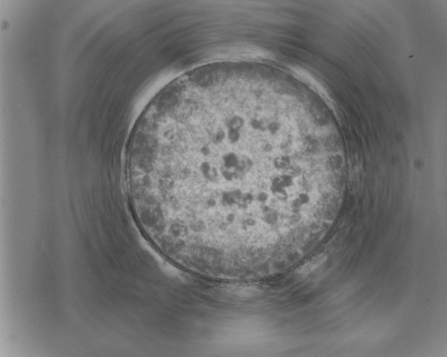 X0000075871103200610151654