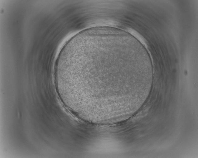 X0000075871104200610151654