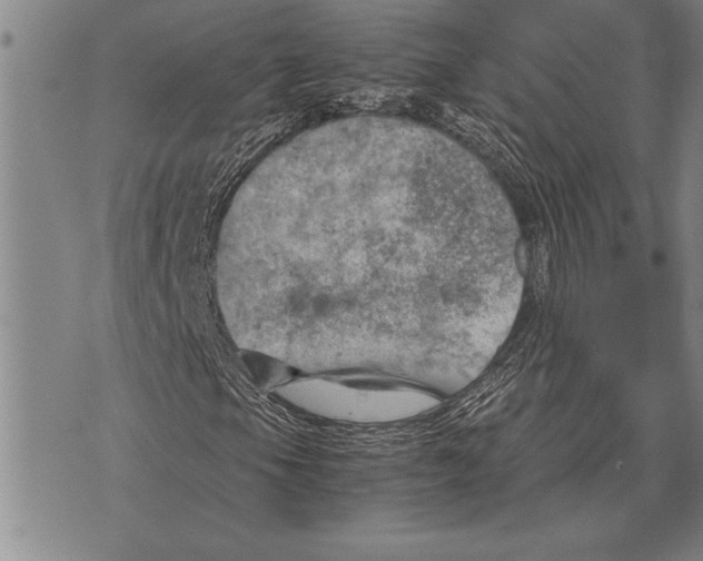 X0000075871105200610151653