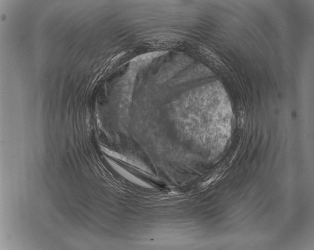 X0000075871108200610151653