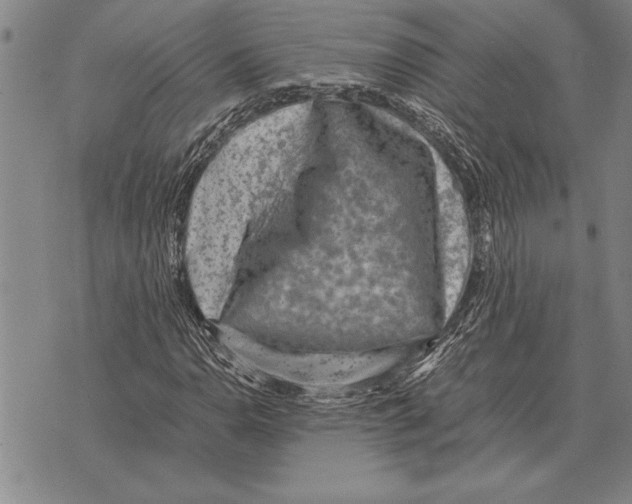 X0000075871110200610151653