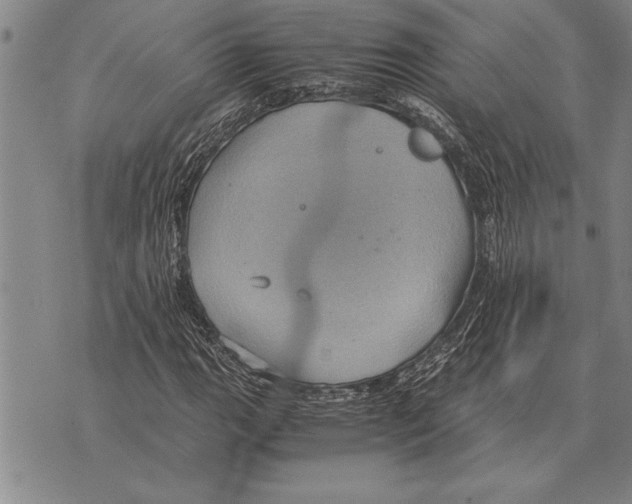 X0000075871111200610151653