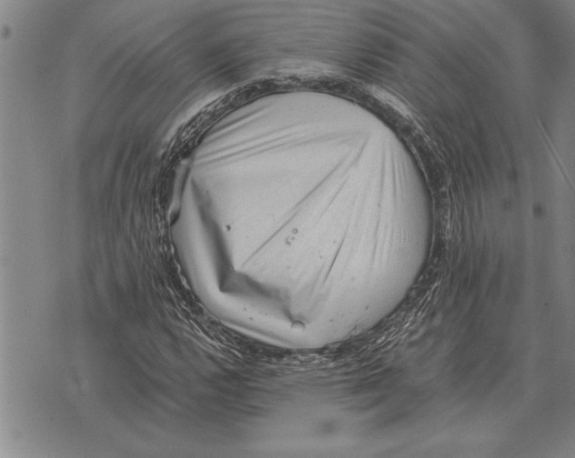 X0000075871112200610151653