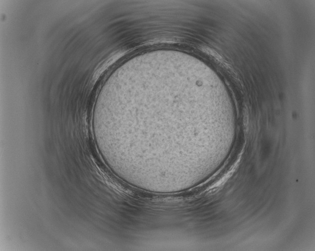 X0000075871113200610151653