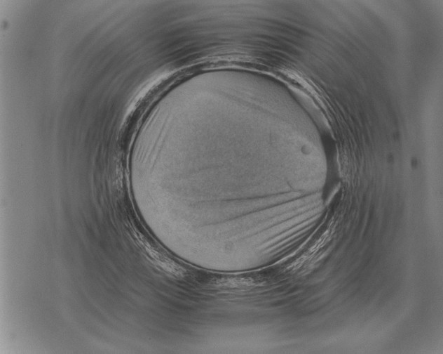 X0000075871115200610151653