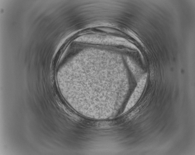 X0000075871116200610151653