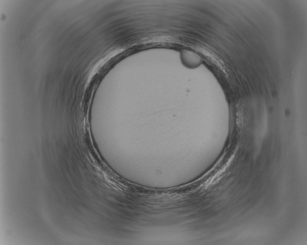 X0000075871117200610151653