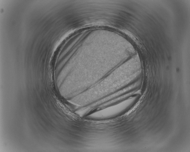 X0000075871118200610151653