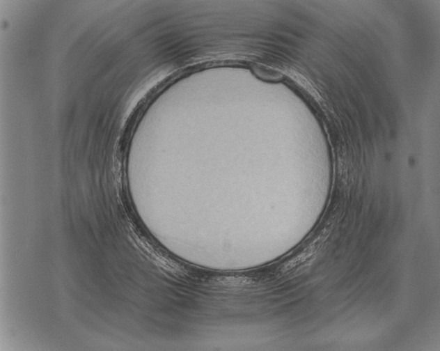 X0000075871119200610151653