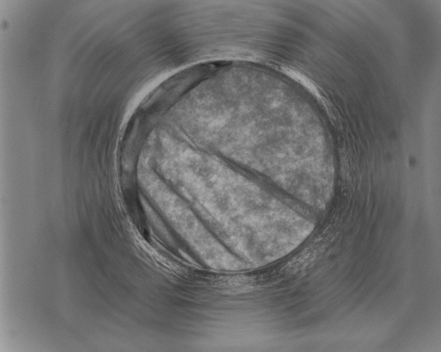 X0000075871120200610151653