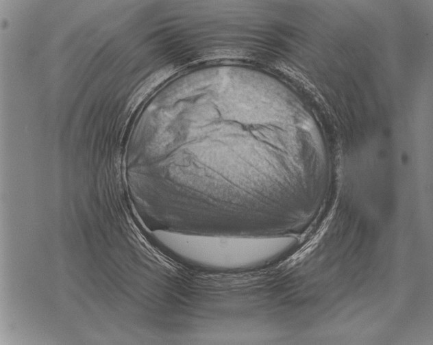 X0000075871121200610151653