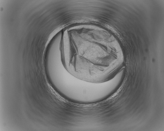 X0000075871122200610151653