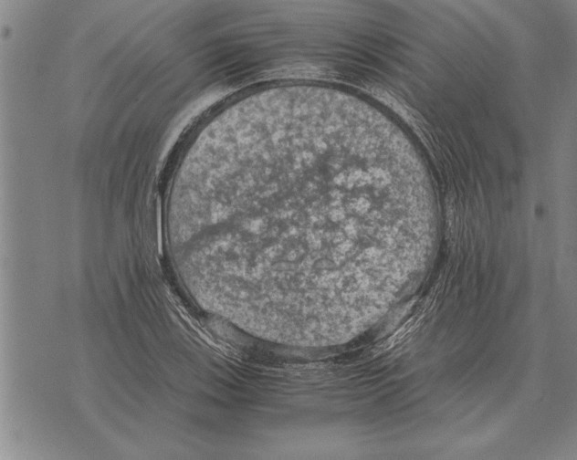 X0000075871123200610151653