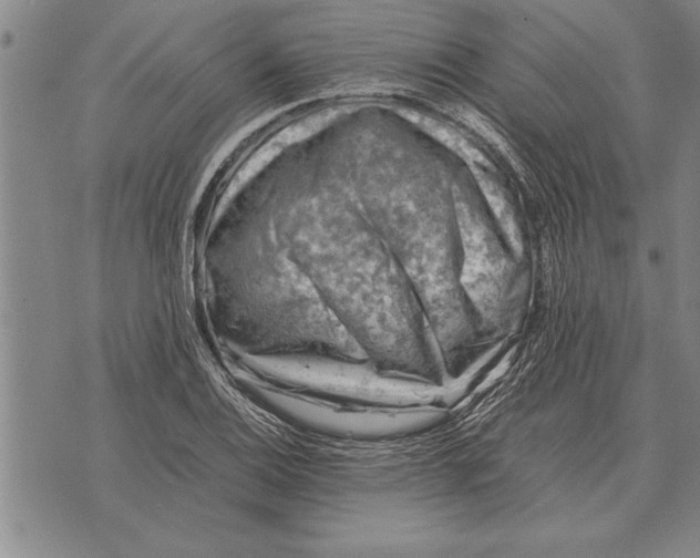 X0000075871124200610151653