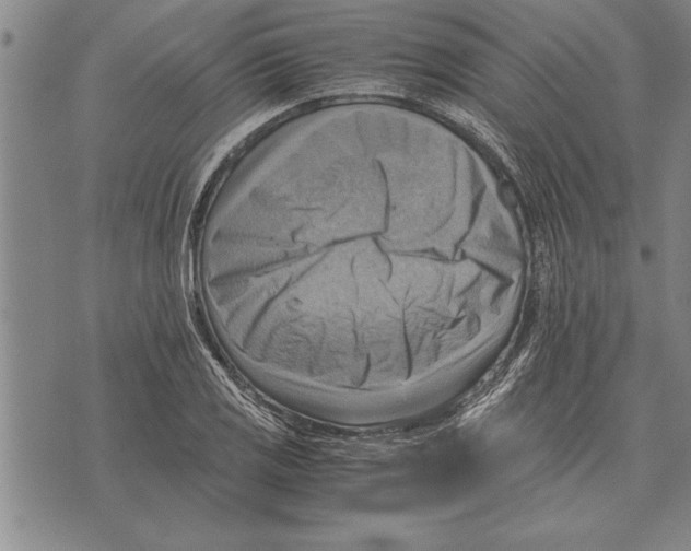 X0000075871125200610151653