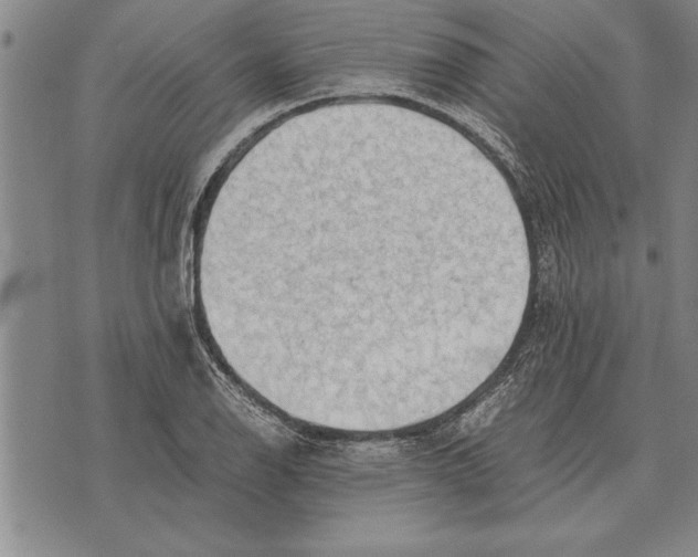 X0000075871126200610151653