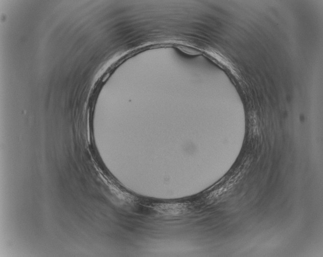 X0000075871127200610151654