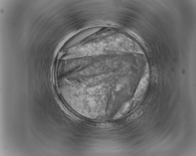 X0000075871128200610151654