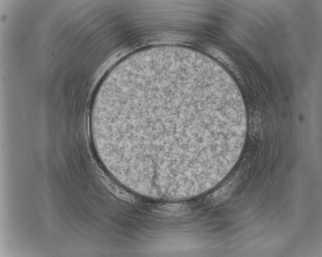 X0000075871130200610151654