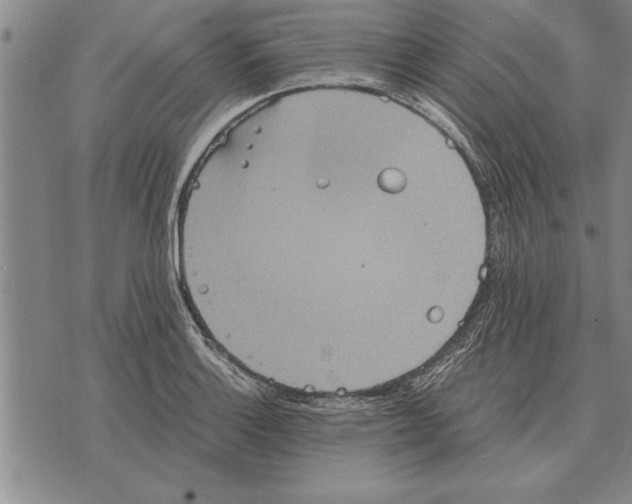 X0000075871132200610151654