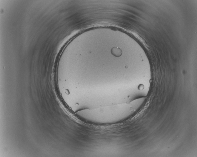 X0000075871134200610151654