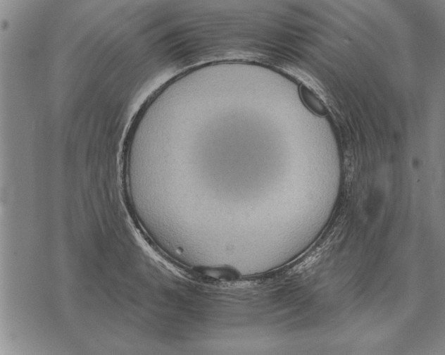 X0000075871135200610151654