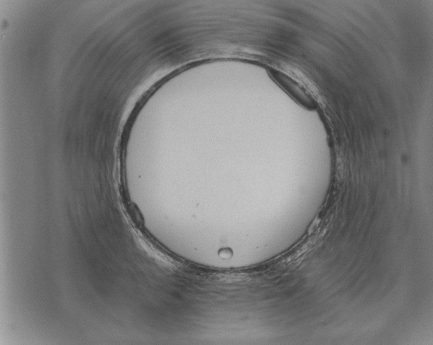 X0000075871136200610151654