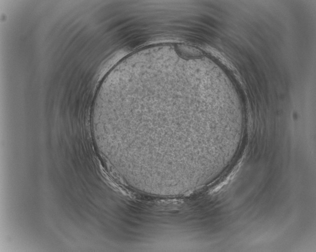 X0000075871137200610151654